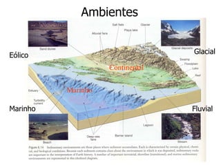 Ambientes


                                  Glacial
Eólico
                    Continental


          Marinho

Marinho                           Fluvial
 