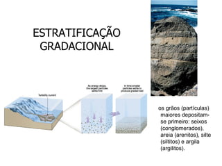 ESTRATIFICAÇÃO
 GRADACIONAL




                 os grãos (partículas)
                  maiores depositam-
                  se primeiro: seixos
                  (conglomerados),
                  areia (arenitos), silte
                  (siltitos) e argila
                  (argilitos).
 
