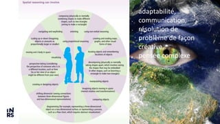 23
- adaptabilité,
- communication,
- résolution de
problème de façon
créative,
- pensée complexe
 