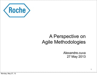 A Perspective on
Agile Methodologies
Alexandre.cuva
27 May 2013
1
Monday, May 27, 13
 