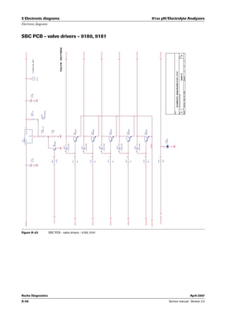 Roche 91xx p h electrolyte analyzers service manual | PDF