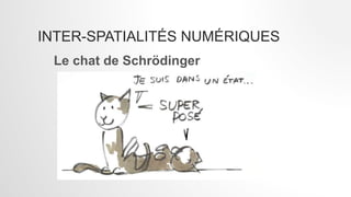 INTER-SPATIALITÉS NUMÉRIQUES
Le chat de Schrödinger
 