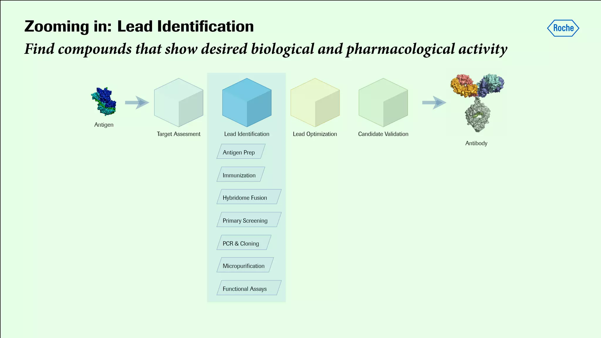 Zooming in: Lead Identiﬁcation
Find compounds that show desired biological and pharmacological activity
 