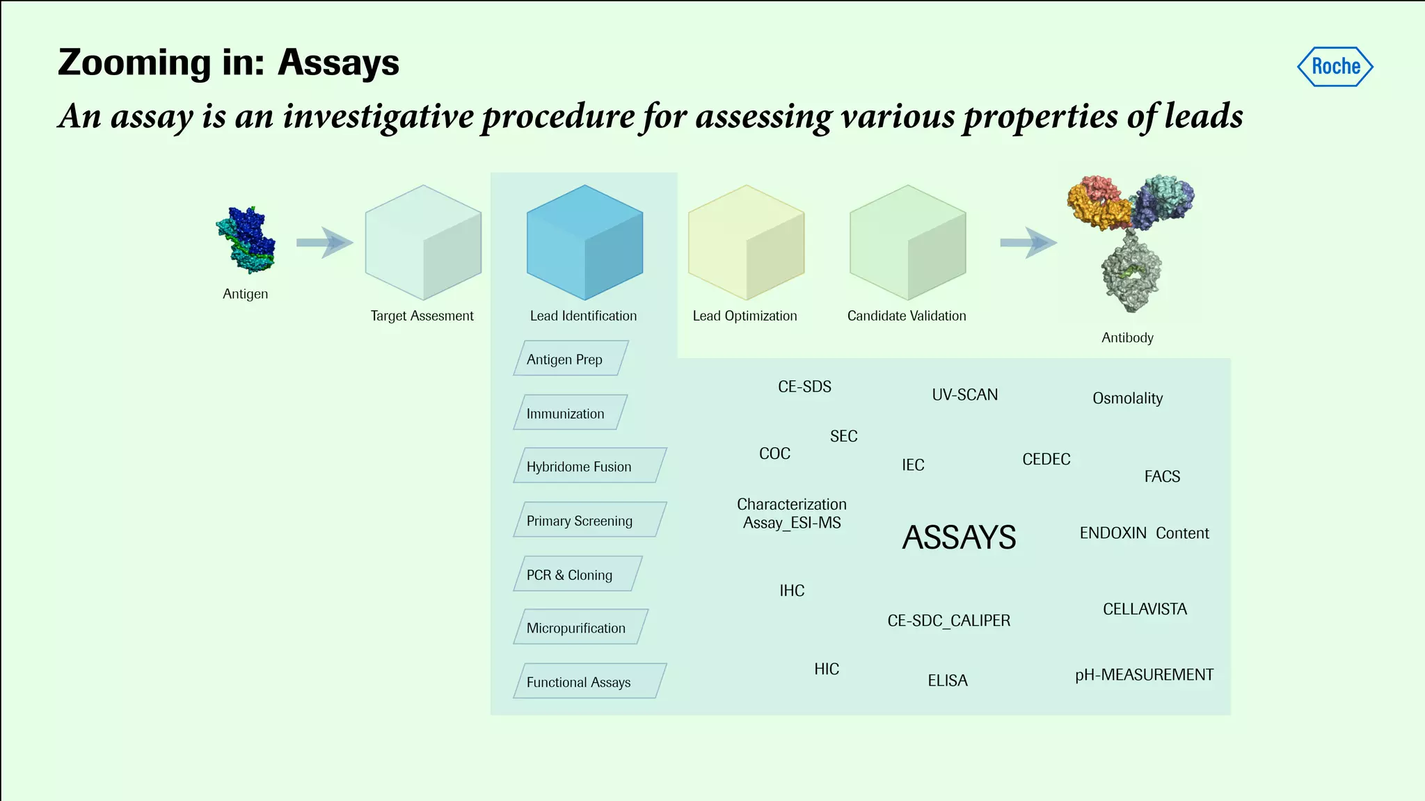 Zooming in: Assays
An assay is an investigative procedure for assessing various properties of leads
 