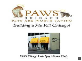 PAWS Chicago Lurie Spay / Neuter Clinic 