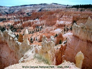Bryce Canyon National Park - Utah, USA 