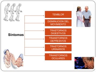 TEMBLOR

           DISMINUCION DEL
             MOVIMIENTO

            TRASTORNOS
             DIGESTIVOS
Síntomas
            TRANSTORNOS
             DEPRESIVOS

            TRASTORNOS
             URINARIOS

            TRANSTORNOS
              OCULARES
 