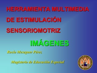 HERRAMIENTA MULTIMEDIA
DE ESTIMULACIÓN
SENSORIOMOTRIZ

             IMÁGENES
Rocío Meseguer Pérez

  Magisterio de Educación Especial
 
