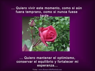 ... Quiero vivir este momento, como si aún fuera temprano, como si nunca fuese tarde...  ... Quiero mantener el optimismo, conservar el equilibrio y fortalecer mi esperanza... Visita:  www.RenuevoDePlenitud.com 