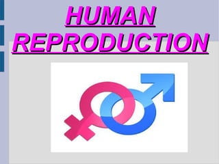 HUMAN
REPRODUCTION

 