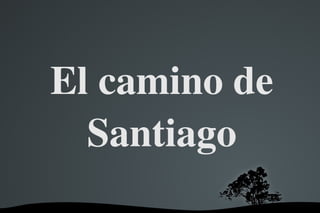 El camino de Santiago 