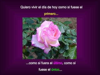 Quiero vivir el día de hoy como si fuese el primero... ...como si fuera el   último , como si  fuese el  único ...  