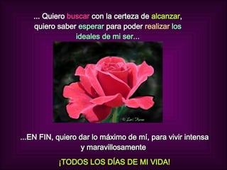 ... Quiero  buscar  con la certeza de  alcanzar , quiero saber  esperar  para poder   realizar  los ideales de mi ser... ...EN FIN, quiero dar lo máximo de mí, para vivir intensa y maravillosamente  ¡TODOS LOS DÍAS DE MI VIDA! 