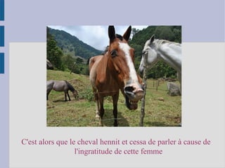 C'est alors que le cheval hennit et cessa de parler à cause de
l'ingratitude de cette femme
 