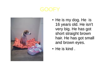 GOOFY
● He is my dog. He is
16 years old. He isn't
very big. He has got
short straight brown
hair. He has got small
and brown eyes.
● He is kind .
 