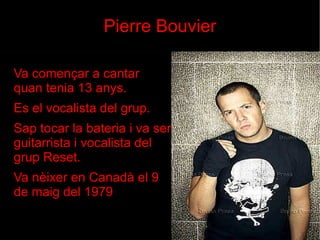 Pierre Bouvier Va començar a cantar quan tenia 13 anys.  Es el vocalista del grup. Sap tocar la bateria i va ser guitarrista i vocalista del grup Reset. Va nèixer en Canadà el 9 de maig del 1979 