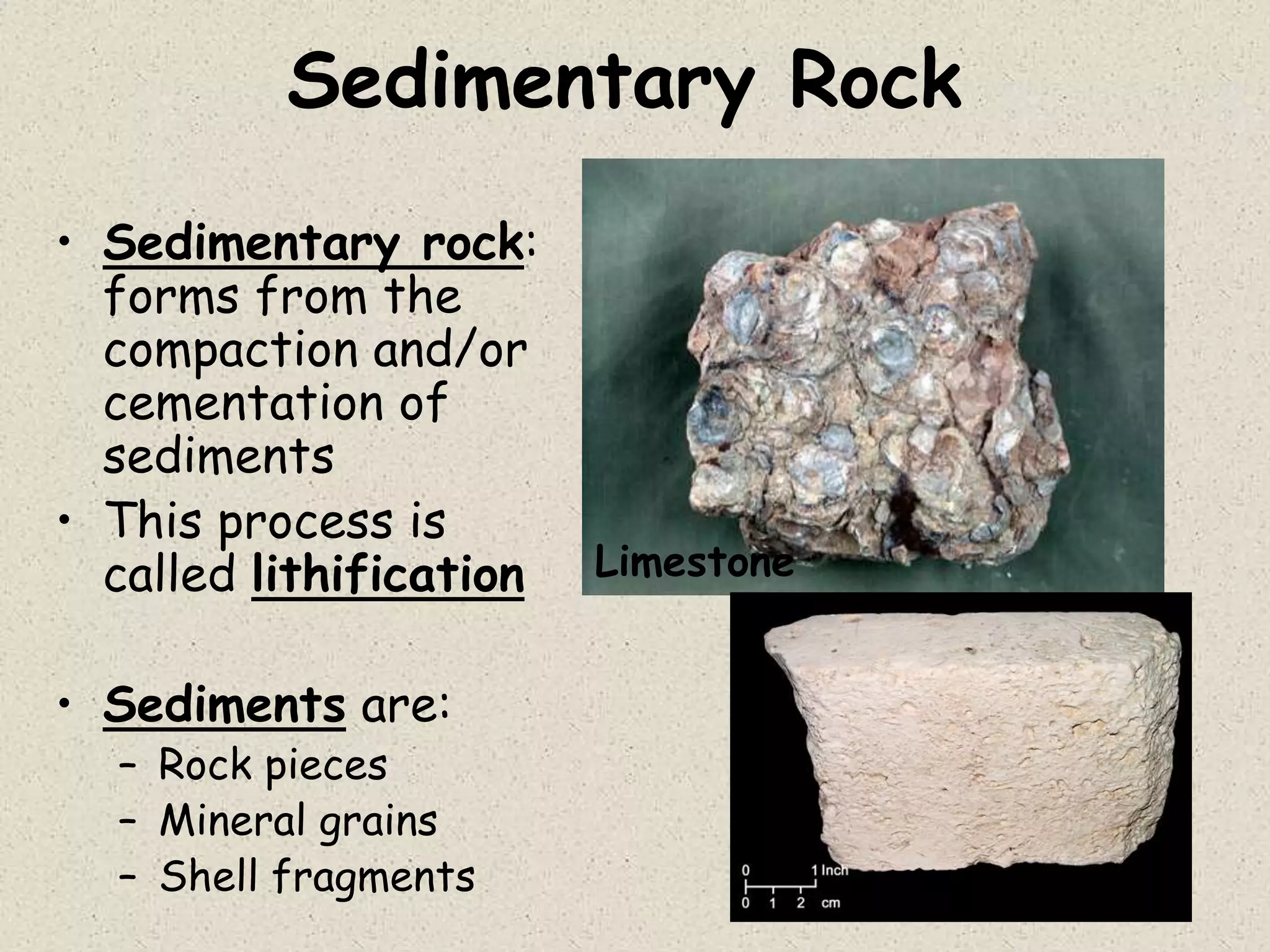 Sedimentary Rock
• Sedimentary rock:
forms from the
compaction and/or
cementation of
sediments
• This process is
called lithification
• Sediments are:
– Rock pieces
– Mineral grains
– Shell fragments
Limestone
 