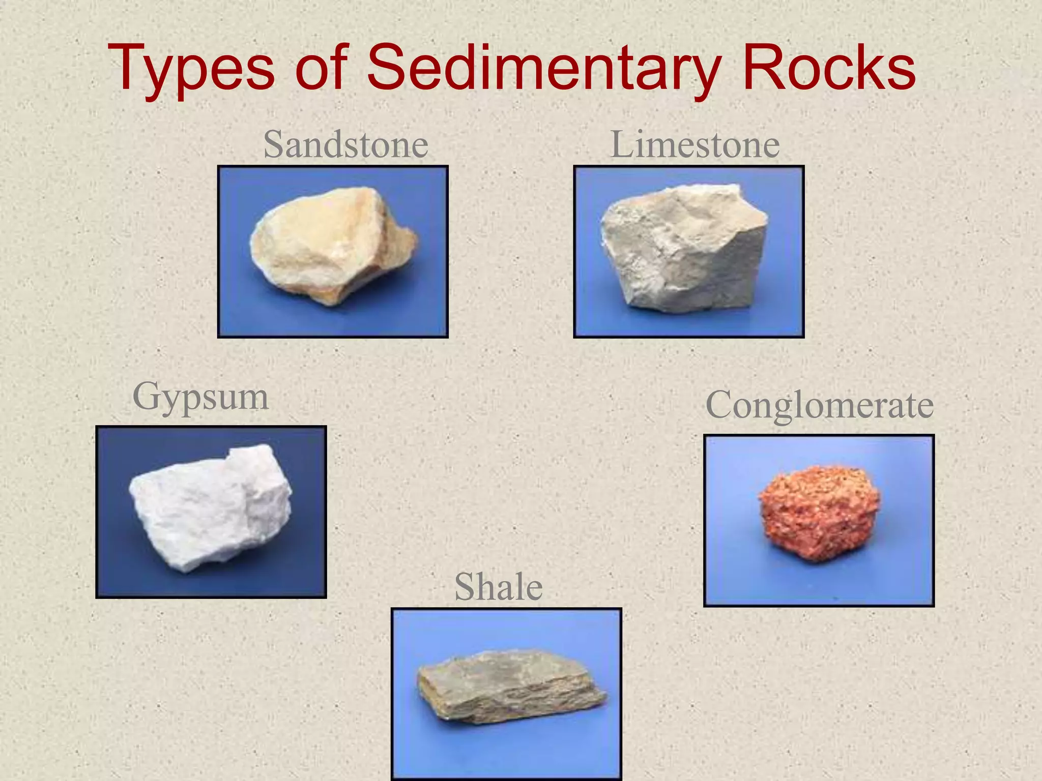 Types of Sedimentary Rocks
Gypsum
Sandstone
Shale
Limestone
Conglomerate
 