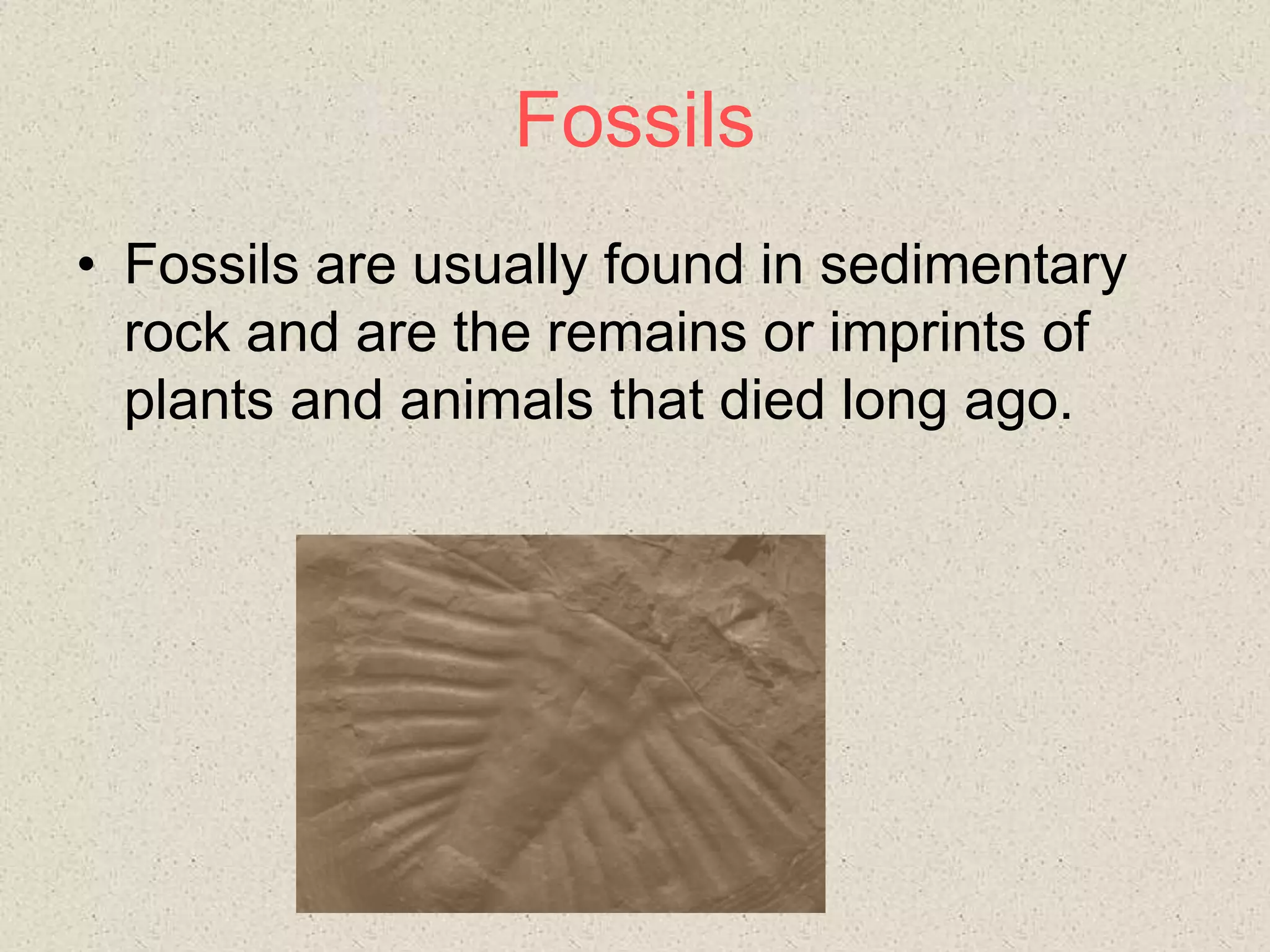 Fossils
• Fossils are usually found in sedimentary
rock and are the remains or imprints of
plants and animals that died long ago.
 