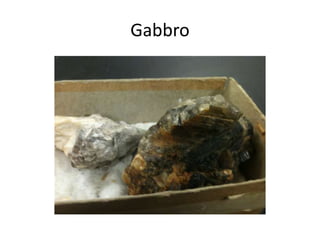 Gabbro
 