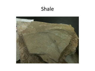 Shale
 