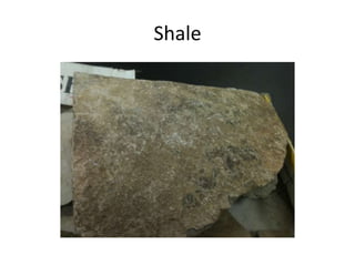 Shale
 