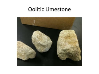 Oolitic Limestone
 