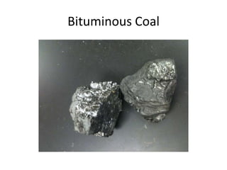 Bituminous Coal
 