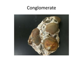 Conglomerate
 