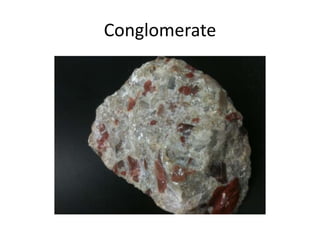 Conglomerate
 