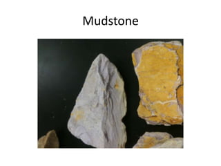 Mudstone
 