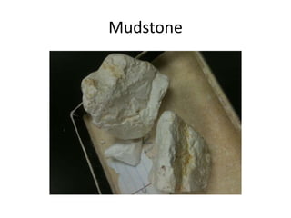 Mudstone
 