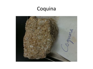 Coquina
 