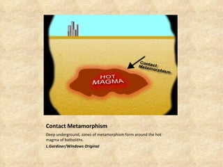 Contact Metamorphism Deep underground, zones of metamorphism form around the hot magma of batholiths. L.Gardiner/Windows Original