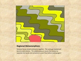 Regional Metamorphism Tectonic forces smash continents together. The rocks get heated and become semi-molten. The added pressure causes the mineral to separate into bands and sometime to even flow before cooling again!