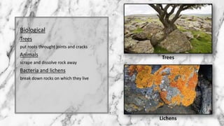 Rock cycle | PPT