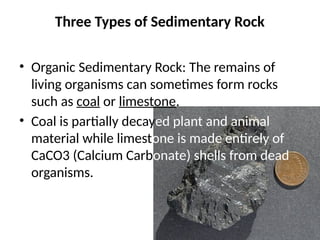 Three Types of Sedimentary Rock
• Organic Sedimentary Rock: The remains of
living organisms can sometimes form rocks
such as coal or limestone.
• Coal is partially decayed plant and animal
material while limestone is made entirely of
CaCO3 (Calcium Carbonate) shells from dead
organisms.
 