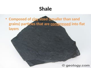 Shale
• Composed of clay sized (smaller than sand
grains) particles that are compressed into flat
layers
 
