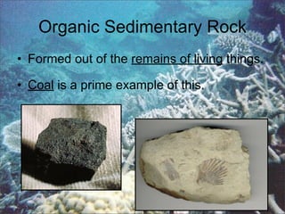 Organic Sedimentary Rock
• Formed out of the remains of living things.
• Coal is a prime example of this.
 