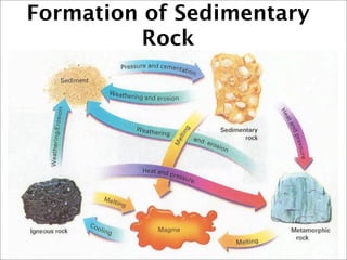Formation of Sedimentary
Rock
 