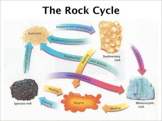 The Rock Cycle
 
