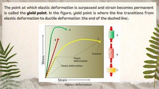 The point at which elastic deformation is surpassed and strain becomes permanent
is called the yield point. In the figure, yield point is where the line transitions from
elastic deformation to ductile deformation (the end of the dashed line).
Figure I: Deformation
 