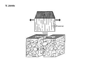 V. Joints
 