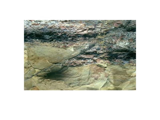 Rock Deformation.ppt