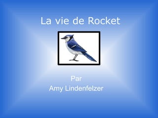 La vie de Rocket




       Par
 Amy Lindenfelzer
 