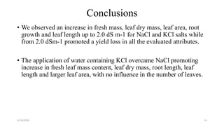 Conclusions
• We observed an increase in fresh mass, leaf dry mass, leaf area, root
growth and leaf length up to 2.0 dS m-1 for NaCl and KCl salts while
from 2.0 dSm-1 promoted a yield loss in all the evaluated attributes.
• The application of water containing KCl overcame NaCl promoting
increase in fresh leaf mass content, leaf dry mass, root length, leaf
length and larger leaf area, with no influence in the number of leaves.
6/16/2018 14
 