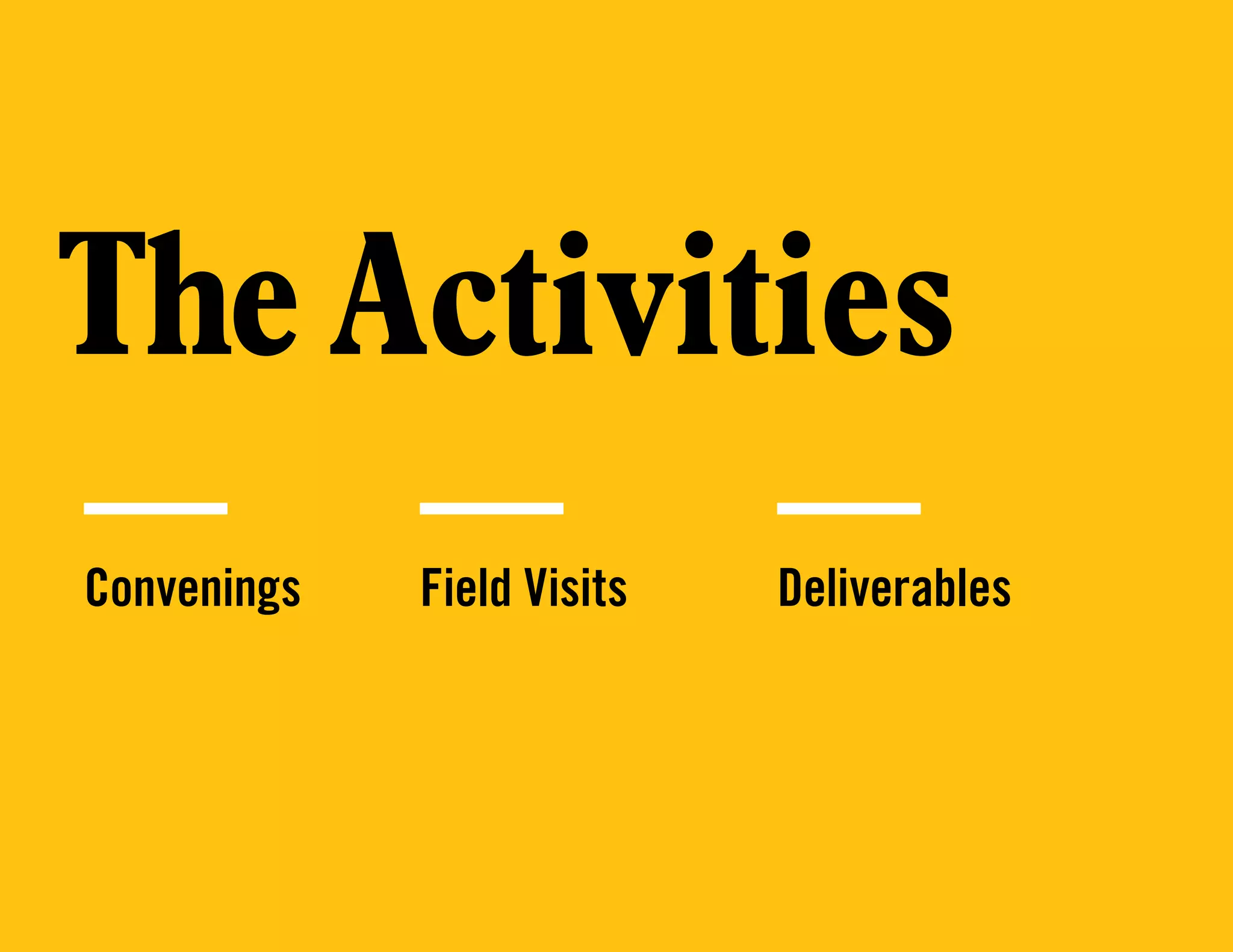 The Activities
Convenings Field Visits Deliverables
 