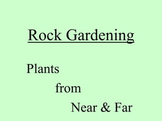 Rock Gardening

Plants
     from
        Near & Far
 