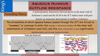 A hydrodynamic interaction between pores in the inner wall of
Schlemm’s canal and the ECM in the JCT makes inner wall pore
density an important determinant of outflow resistance.
(1)Tanna AP and Johnson M.Rho Kinase Inhibitors as a Novel Treatment for Glaucoma and Ocular Hypertension .Ophthalmology Volume 125, Number 11, November 2018
 