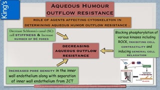 (1)Tanna AP and Johnson M.Rho Kinase Inhibitors as a Novel Treatment for Glaucoma and Ocular Hypertension .Ophthalmology Volume 125, Number 11, November 2018
 